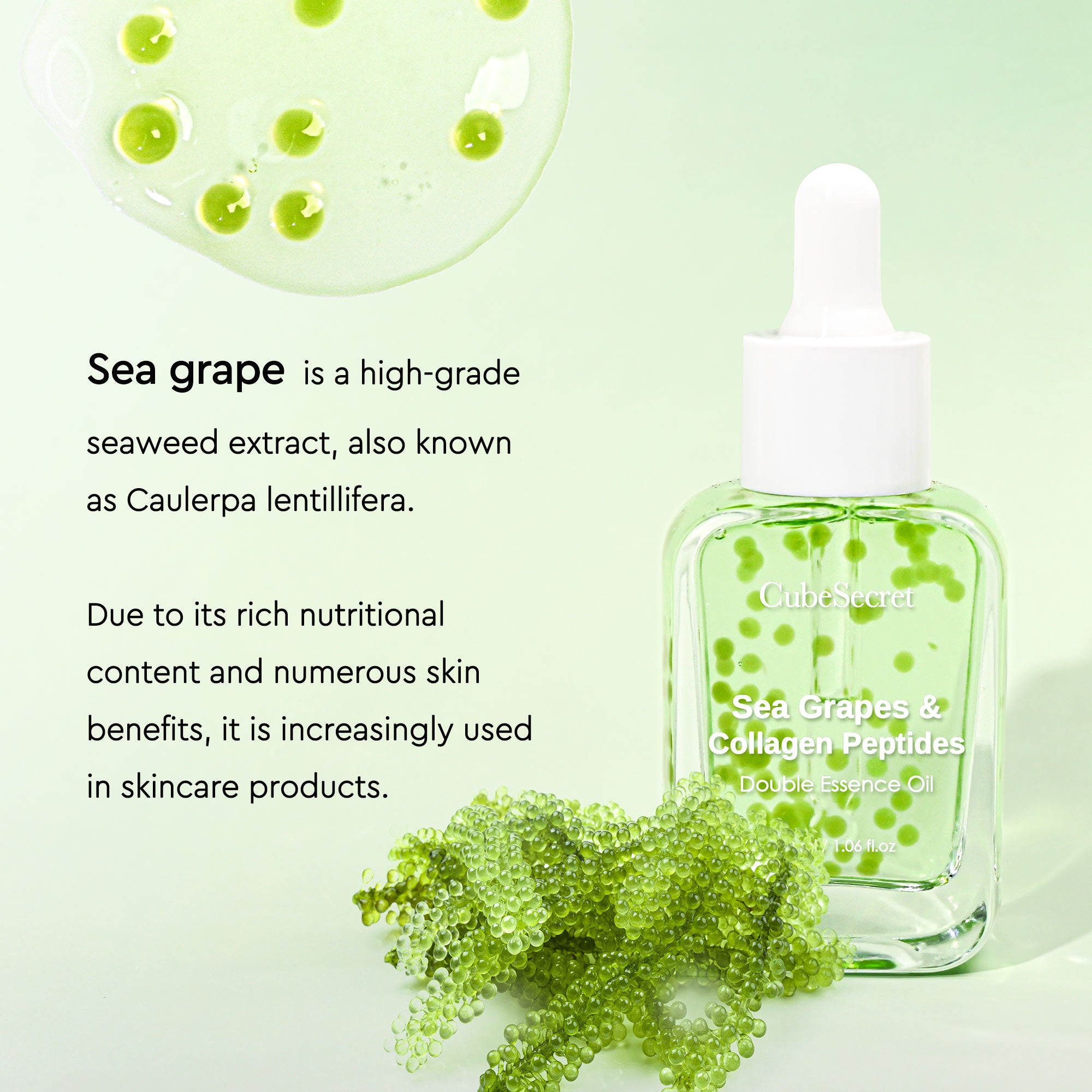 Sea grape serum 2.0